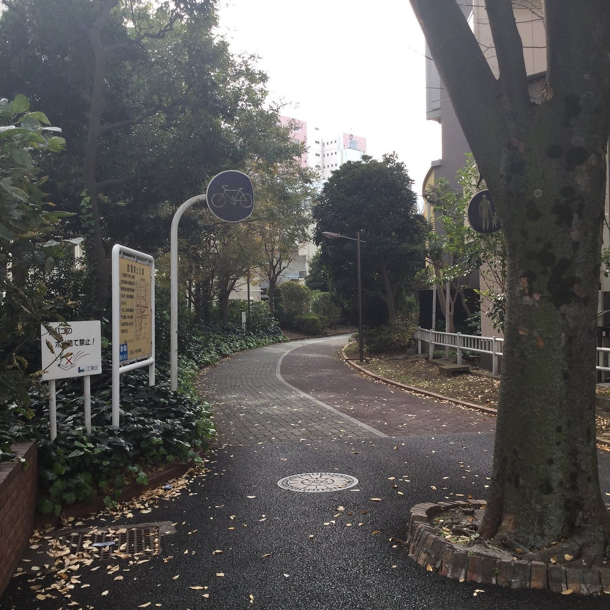 🌳 오지마 녹도 공원 (Ojimaryokudo Park) 이미지 4